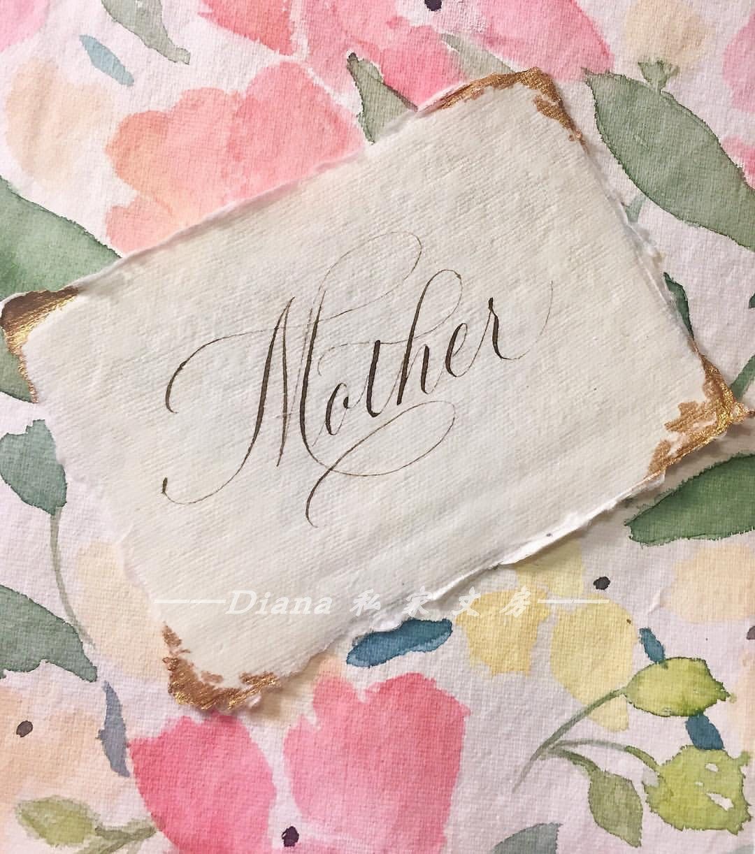 美国walnut胡桃木墨水英文书法专用点尖水笔eserop笔用墨水