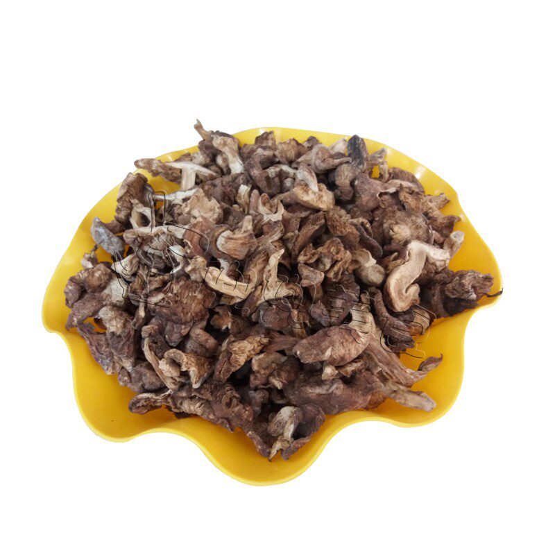 内蒙古 赤峰 地抠蘑 新蘑菇野生杨树林地抠蘑菇二斤包邮!