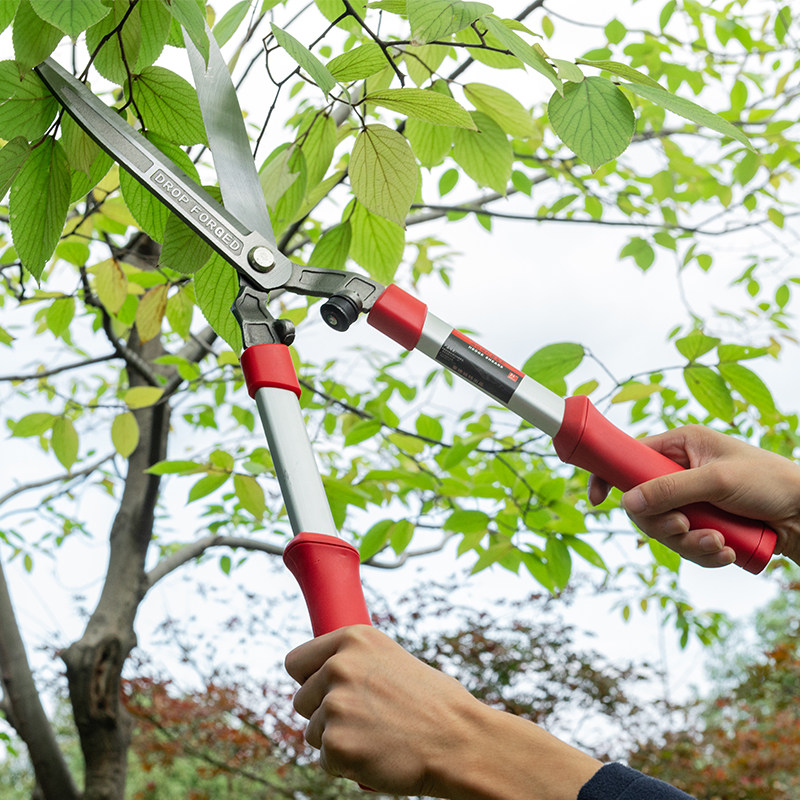 修枝锻打园艺剪绿篱剪草坪修剪花草树枝花剪剪刀