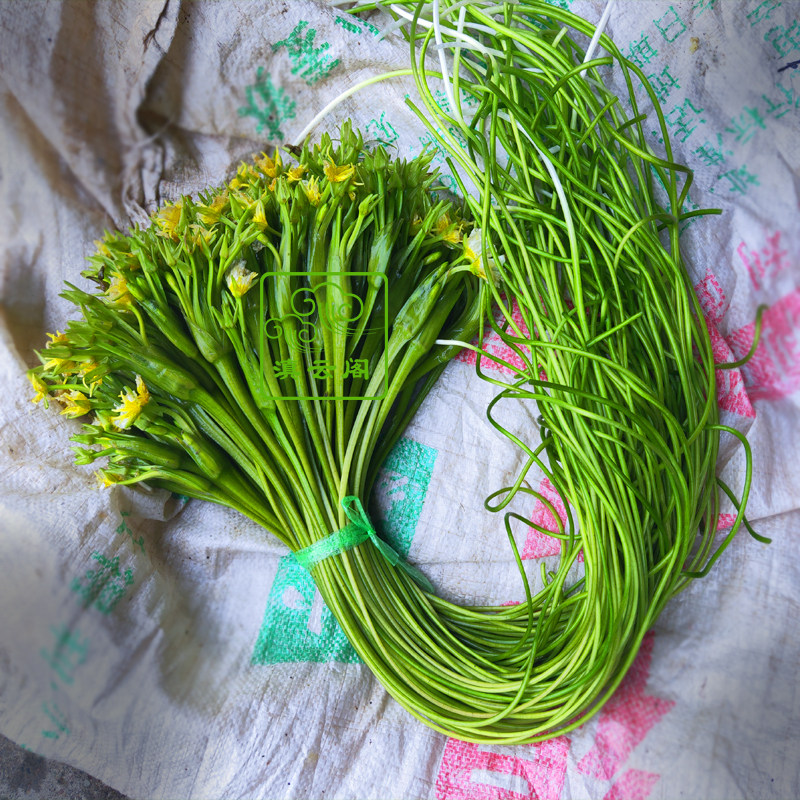 海菜大理2斤顺丰包邮水性杨花云南特产洱海新鲜其它