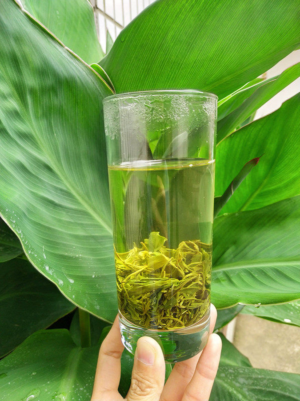 绿茶2020新茶浓香型松阳香茶高山250g2包茶农其它绿茶