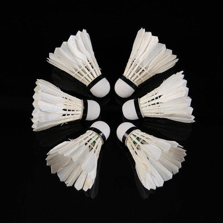 羽毛球耐打艾力克3个稳定训练练球鹅毛羽毛球