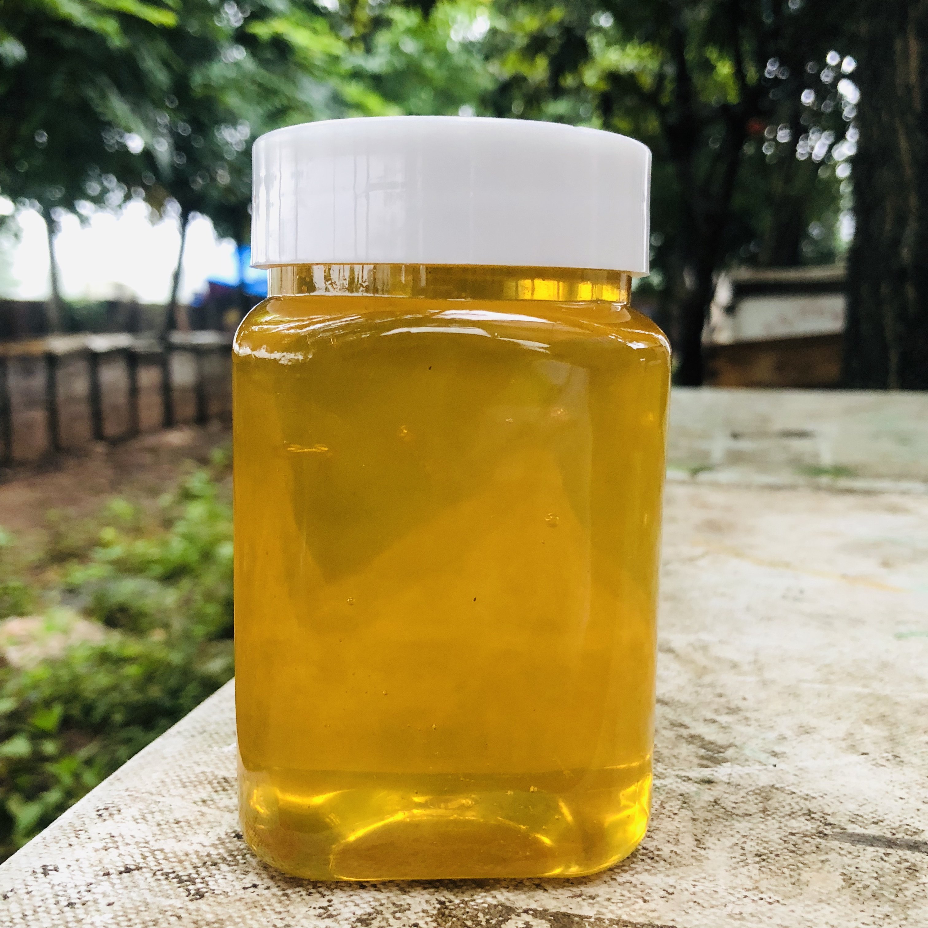 野生纯正成熟荆条蜜儿童孕妇正宗土蜂蜜无加工蜂场原蜜500g