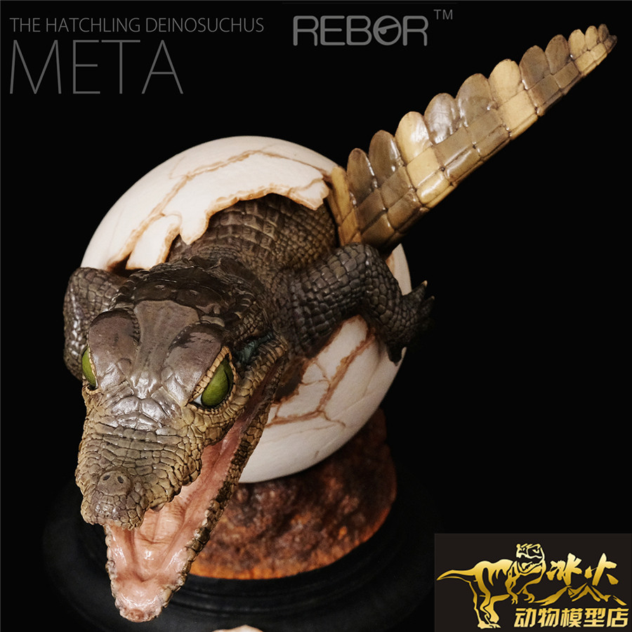 鳄鱼宝宝英国rebor孵化恐鳄出壳模型雕像限量鳄鱼仿真