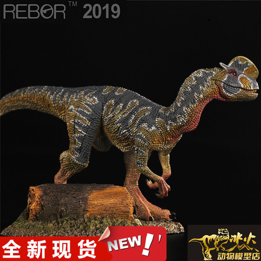 rebor恐龙双冠龙双嵴龙夫妇夫妇地台男孩女孩成人模型仿真