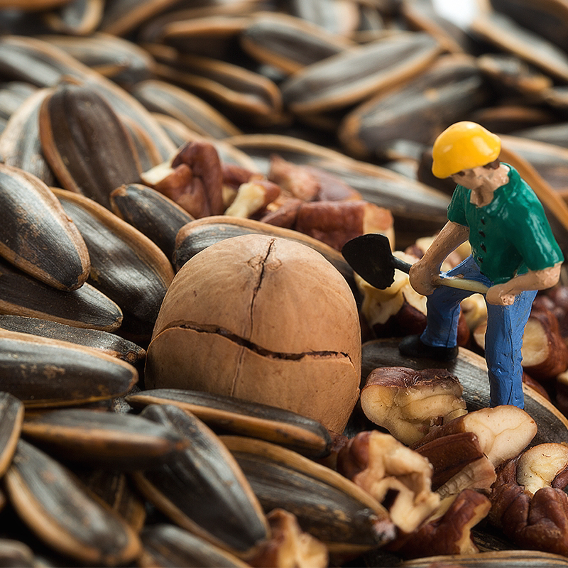 洽洽长大了的瓜子巨型坚果零食大礼包网红小吃年货送礼礼包1932g