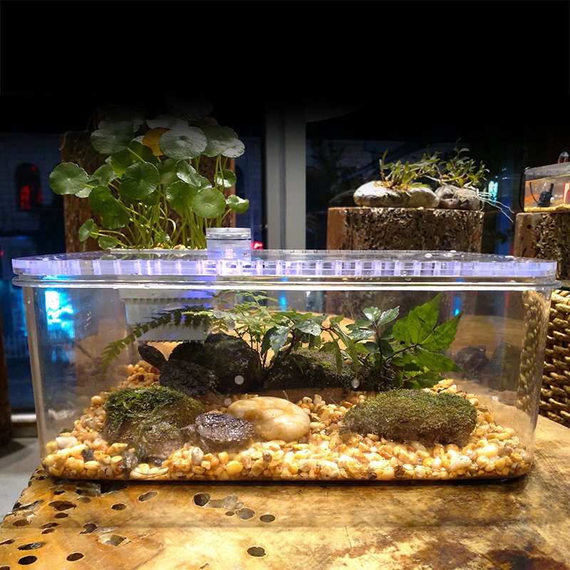 乌龟水陆缸养小型桌面龟缸鱼缸龟鱼造景水族箱桌面缸