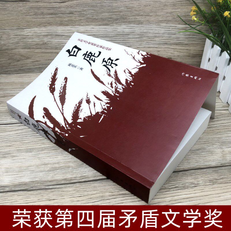白鹿原典藏作家书籍畅销书畅销当代文学获奖作品茅盾文学奖第四届现代