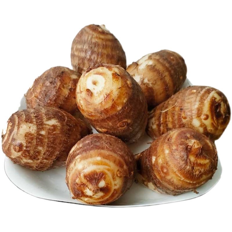 新鲜江西芋头小芋头绵滑糯现挖现发精品5斤包邮芋头