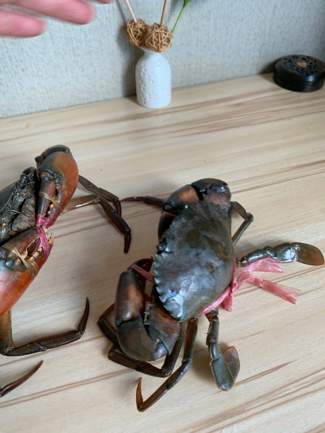 缅甸黒蟹香辣迷踪公斤6--8只鲜活水产品新鲜到家青蟹