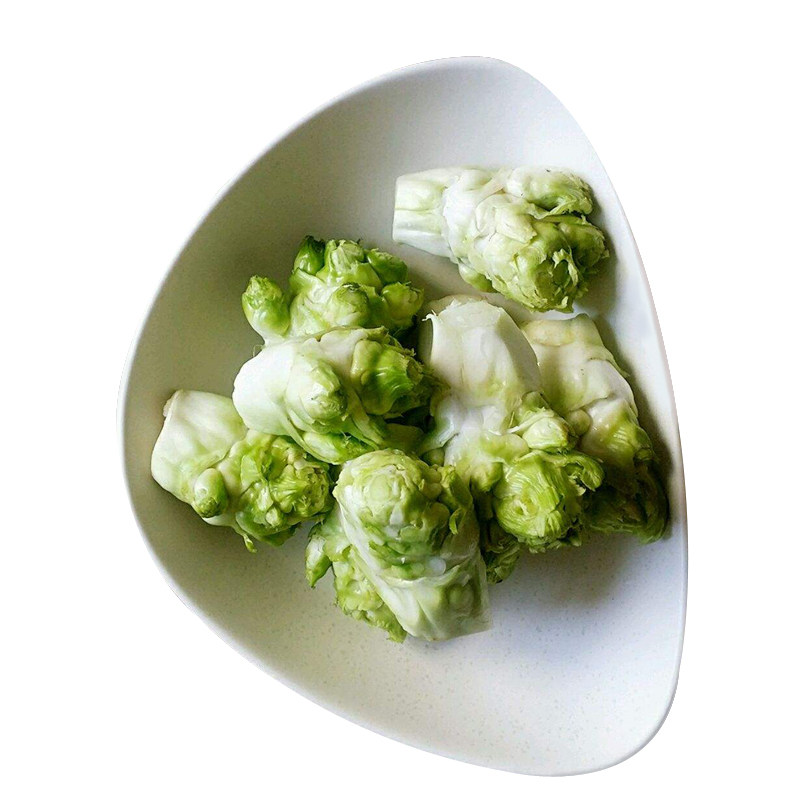 儿菜种籽特大特色芽菜儿菜种子抱子菜娃娃菜芽芥菜秋季种植蔬菜籽