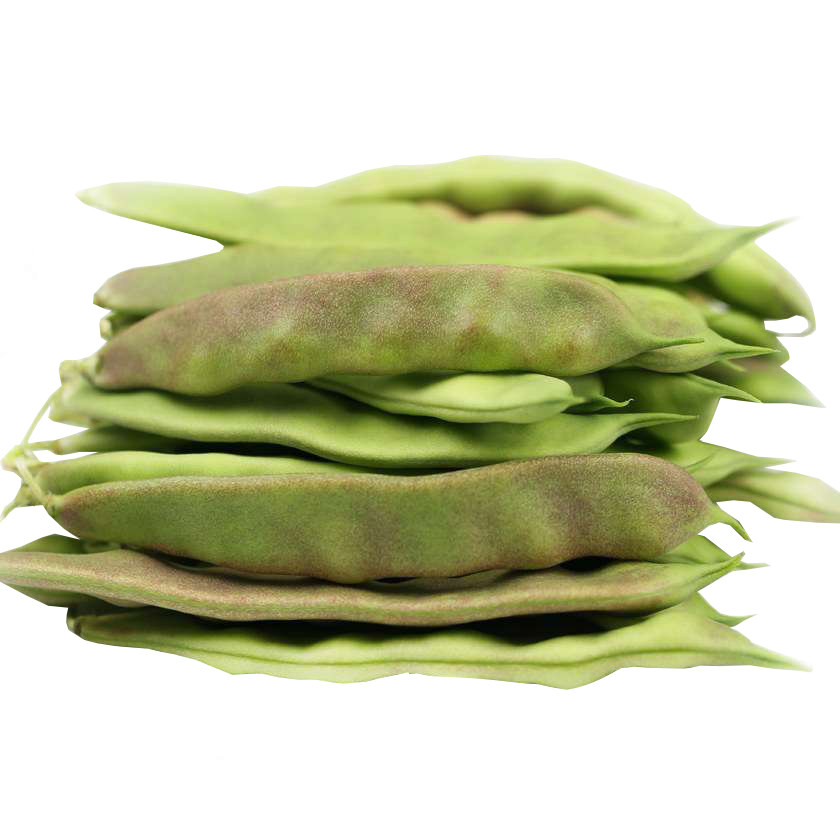 种籽农家油豆东北绿油豆油豆角大全种孑春秋家庭园艺种子