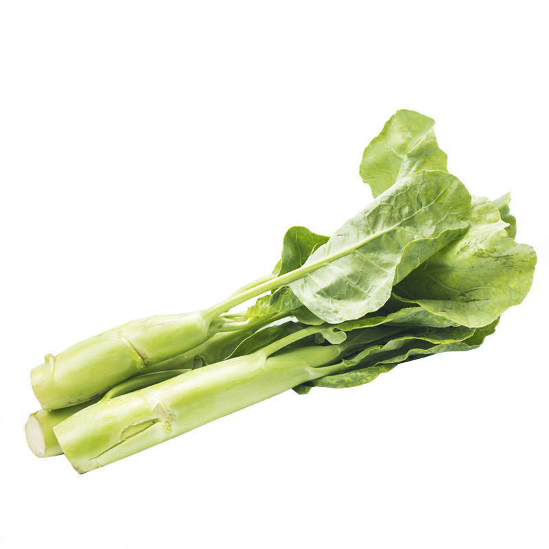 特早熟四季播大笋芥兰种子广东芥蓝菜种籽农家田园春季种蔬菜种籽