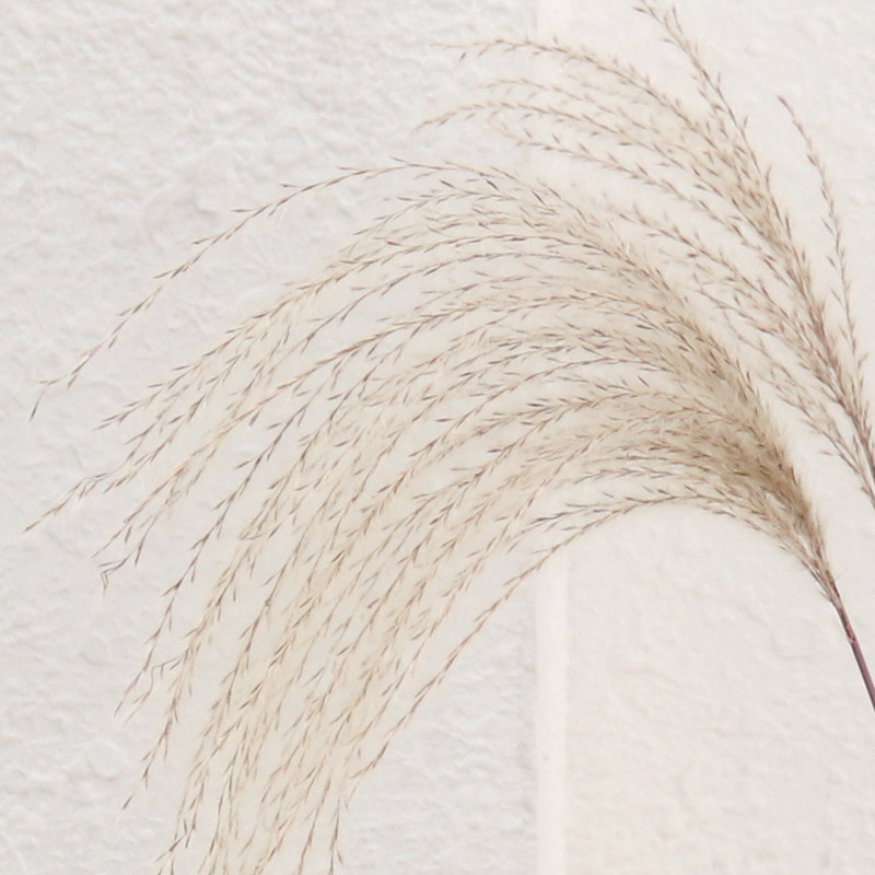 摆件wulihome拂尘芦苇干花搭配花瓶桌面店铺装饰干花