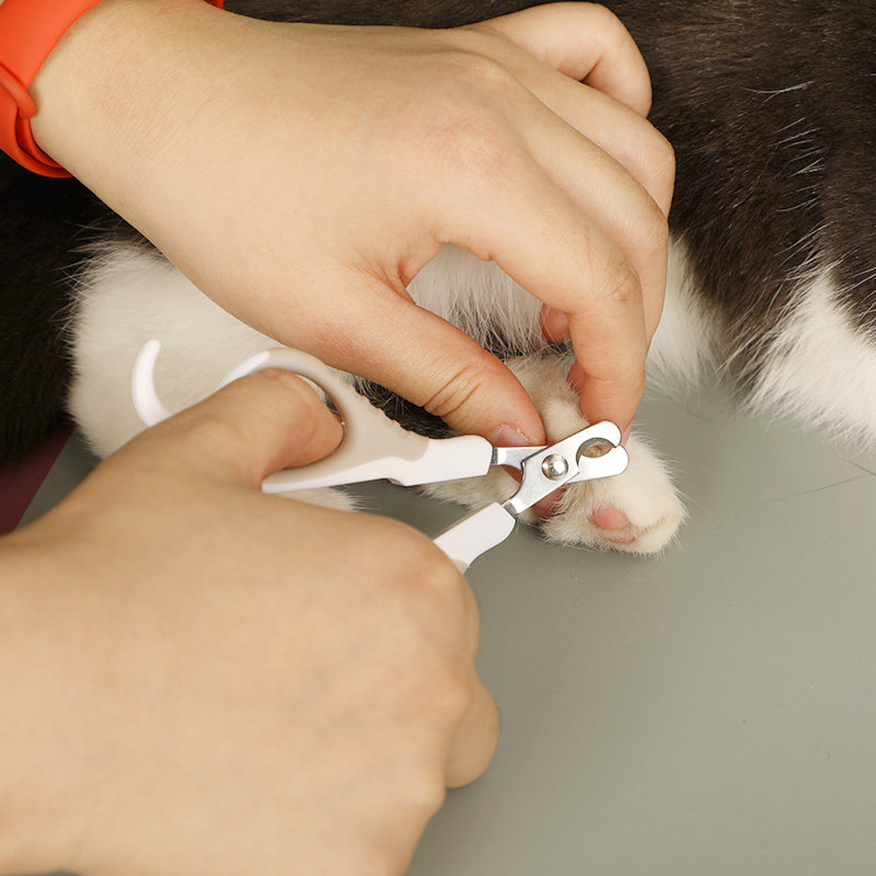 指甲剪波奇猫乐适猫咪用指指甲钳指甲刀磨甲宠物指甲指甲剪