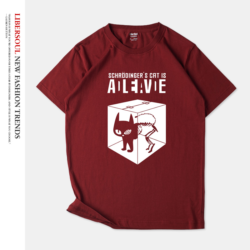 美剧生活薛定谔的猫大爆炸短袖T恤男女白色纯棉欧美简约谢尔顿vn