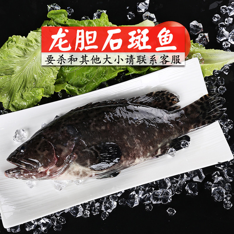 龙胆鲜活海鲜野生深海水产当天捕捞石斑鱼1份斑鱼
