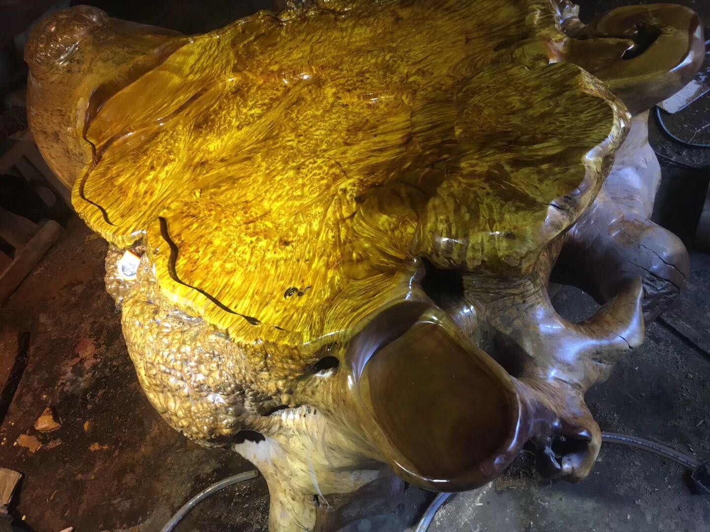 黄金功夫茶功夫雕刻金丝拼接整体樟木树根艺树茶盘