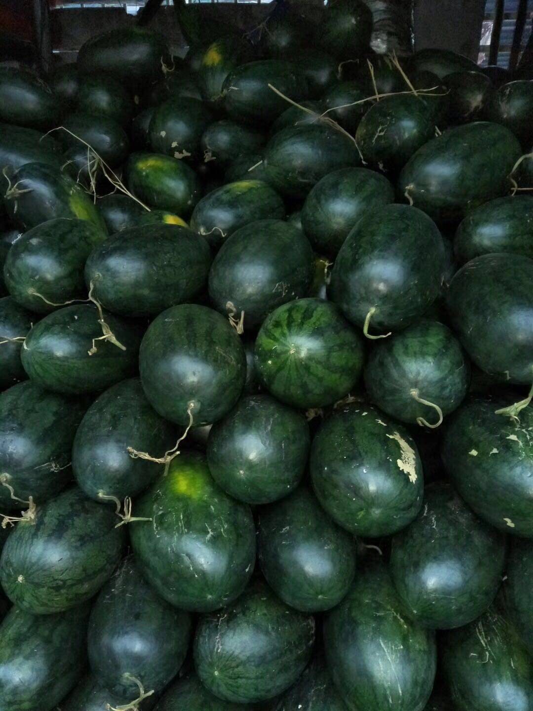 越南黑美人西瓜应季西瓜口感沙甜现摘新鲜9-11斤2个装多省包邮