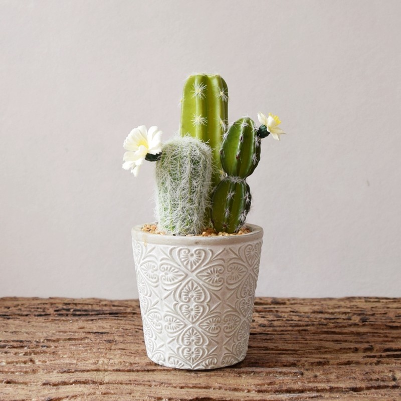 仿真仙人掌ins北欧欧风假植植物盆栽摆件仙人仿真植物盆景