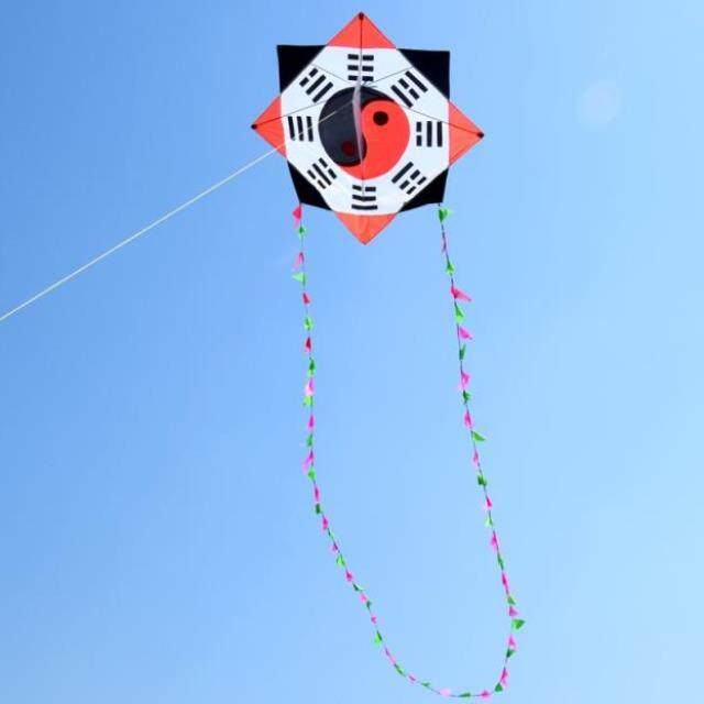 八卦风筝太极大型中型立体超大大人传统创意风筝