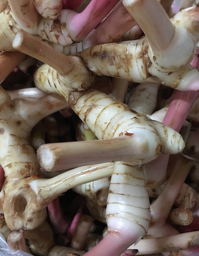 泰国南姜新鲜500g高良姜泰式冬阴功汤调料火锅生姜