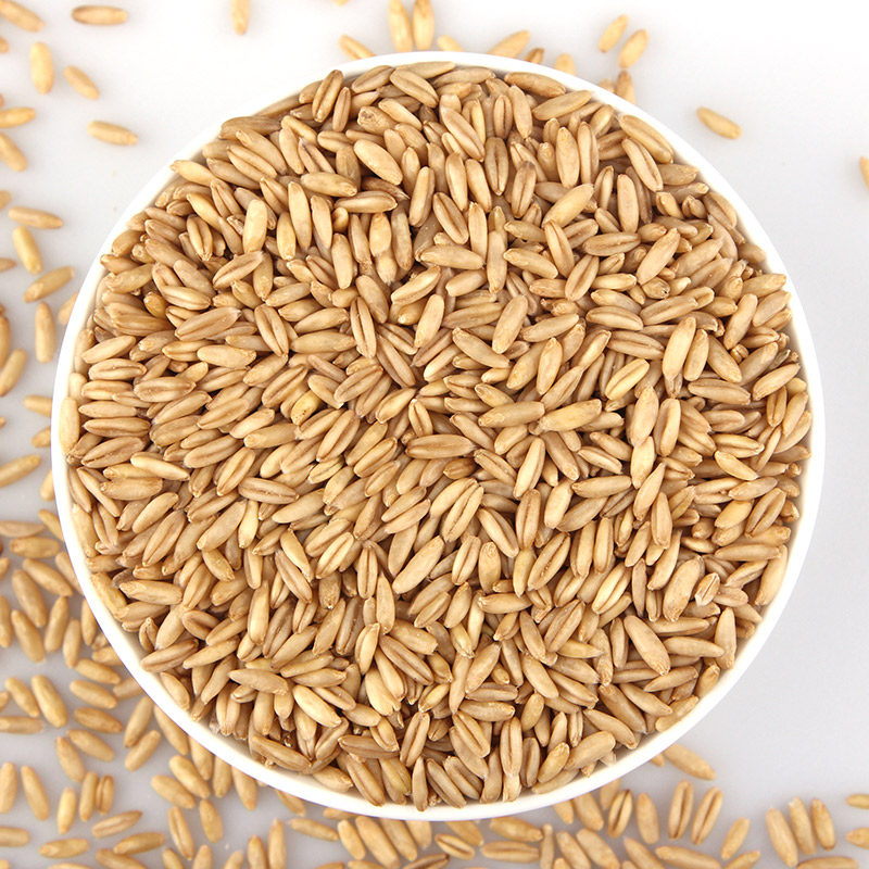 简单爱 河北张家口特产燕麦米 新鲜裸燕麦仁 雀麦 五谷杂粮 粗粮