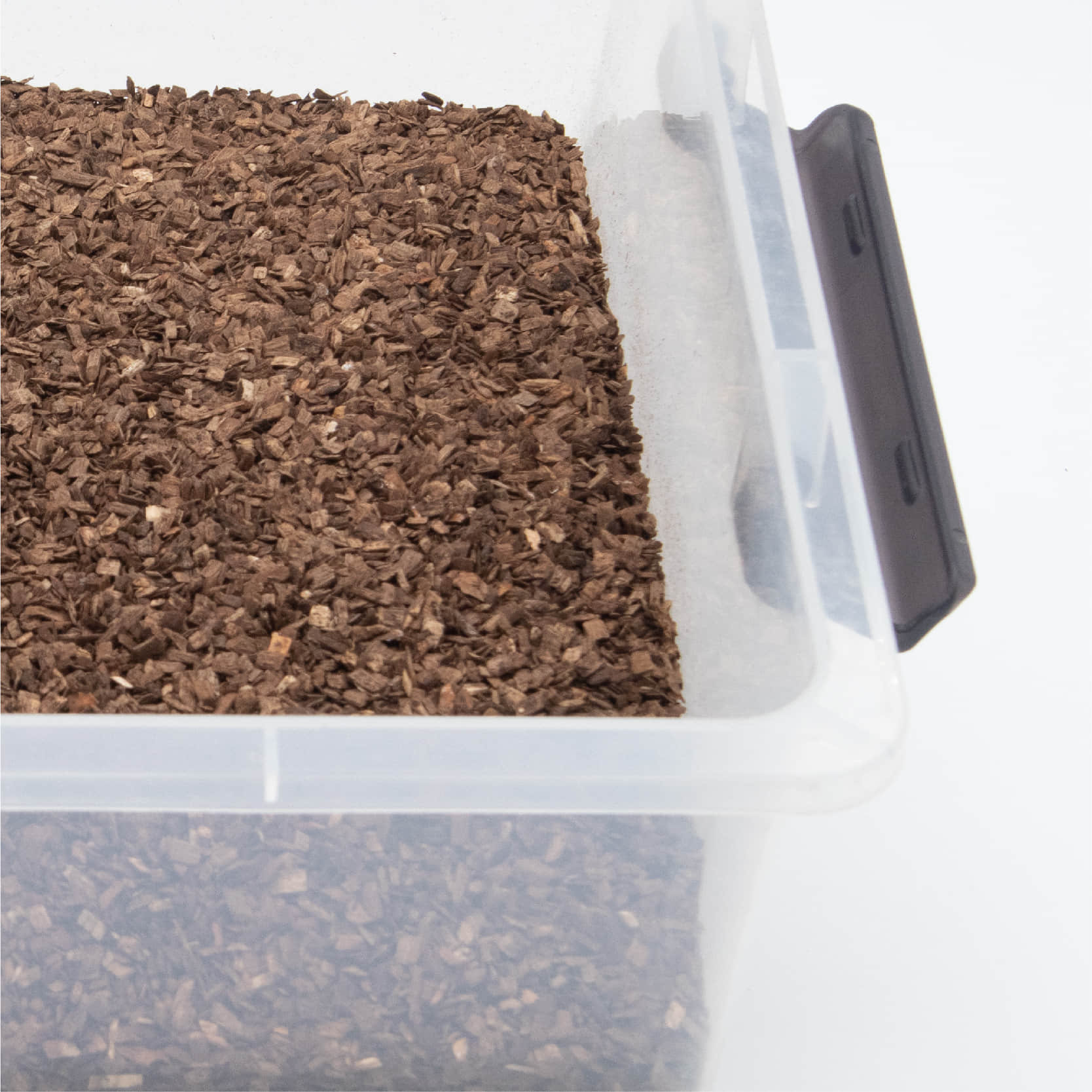 牧野虫社深度发酵木屑甲虫独角仙宠物爬宠锹甲爬虫