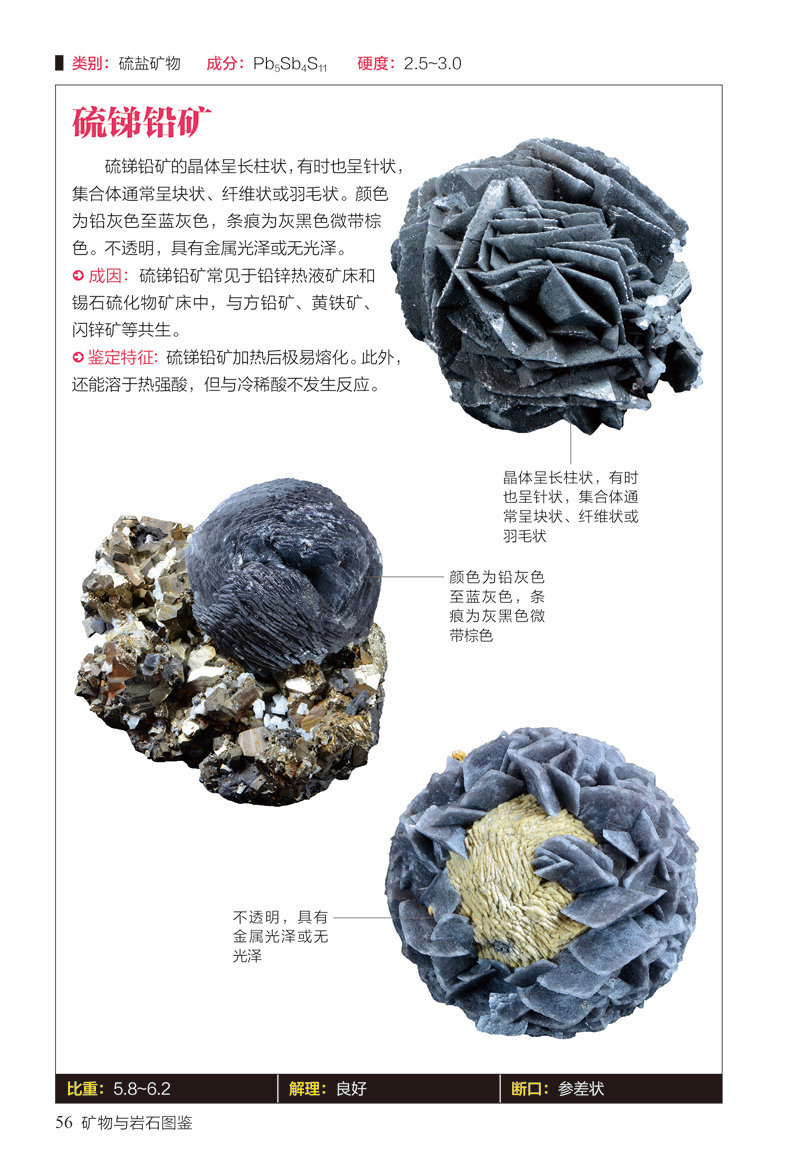 矿物与岩石图鉴(辨认231种矿物与65种岩石)/图鉴珍藏丛 正版 矿物岩石