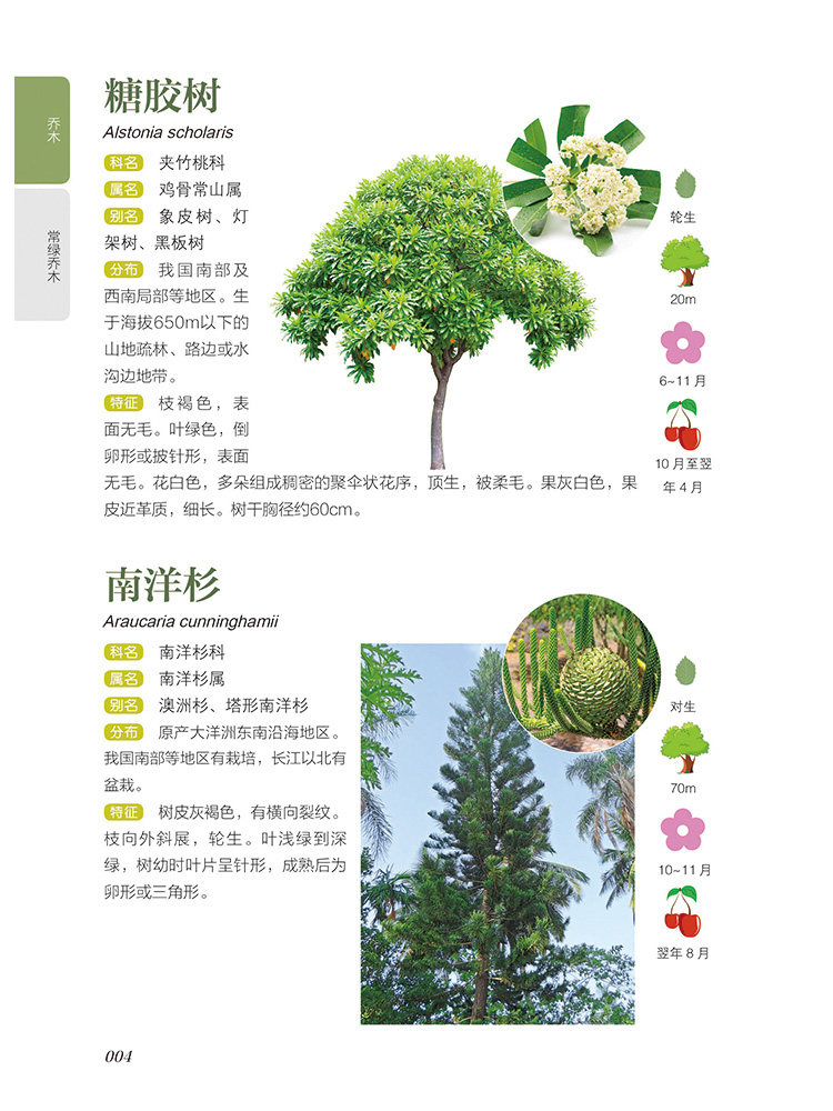 常见树木图鉴 新手入门轻松辨别282种常见树木 正版 书籍 植物