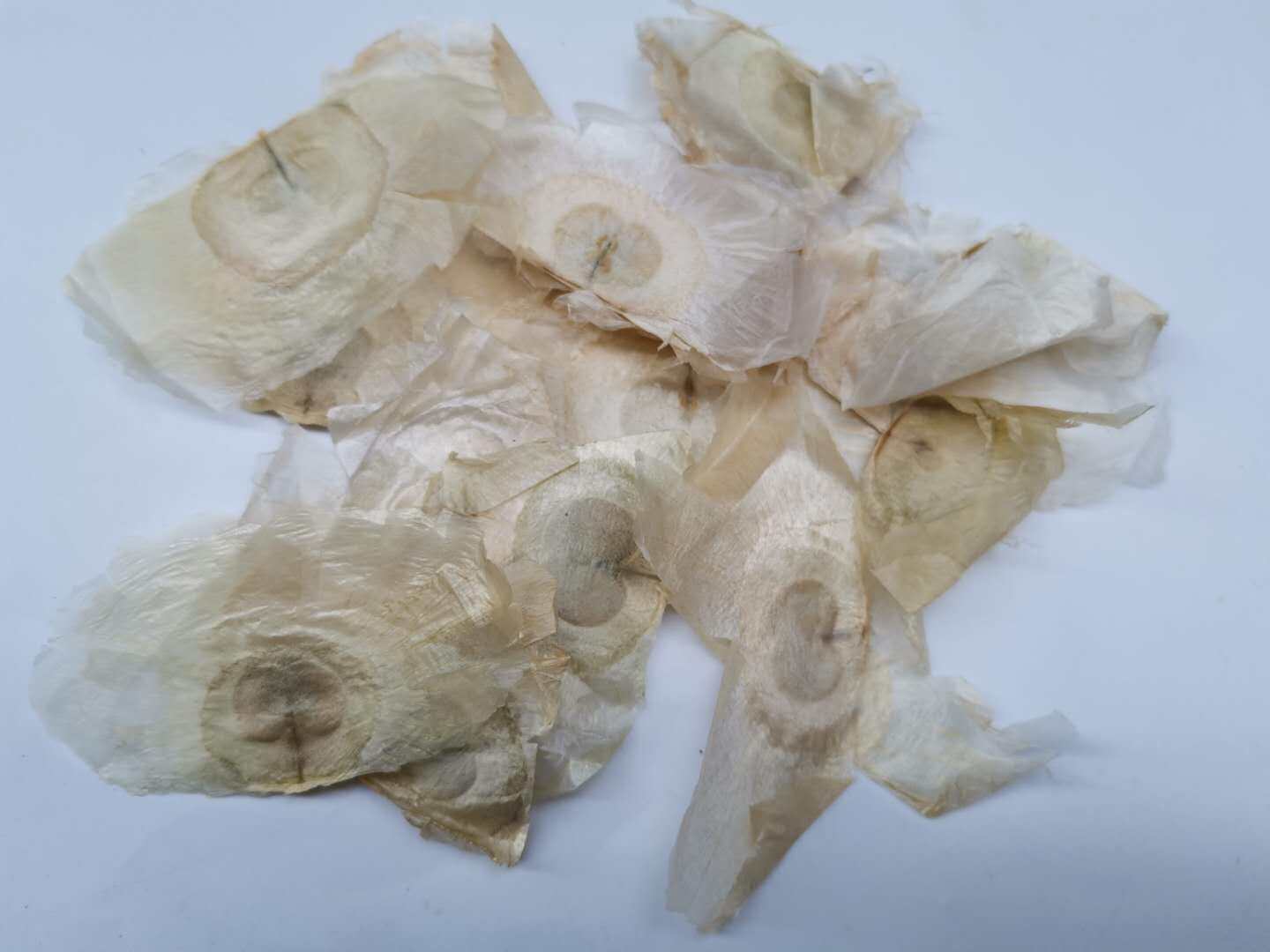 天然野生千层纸木蝴蝶玉蝴蝶兜铃破布故纸千张其他药食同源食品