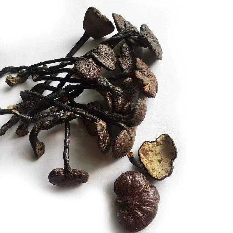 海南野生灵芝特级野生竹灵芝精选厚肉竹灵芝美容免疫250克