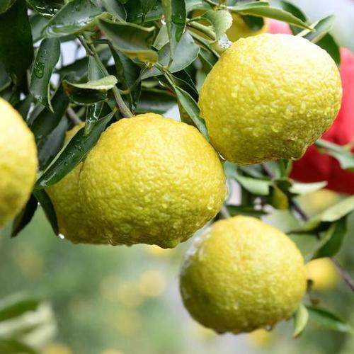 女性在线导购网