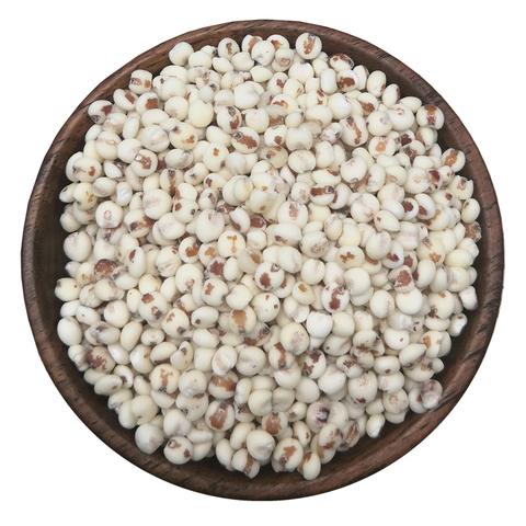 特粘新货粘高粱米5斤 东北特产农家自种黏糯包粽子粗粮脱皮红高粱