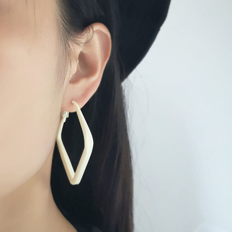 耳环s925银针方形夸张女高高级小红网红同款耳环