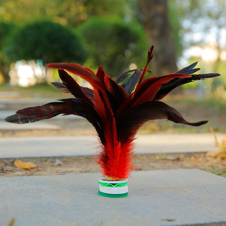 毽子儿童小学生踺子毽球运动健子鸡毛键子耐踢成人健身比赛专用