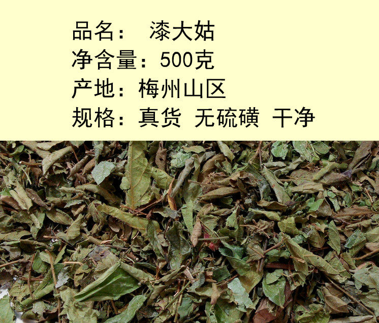 漆大姑 毛漆算盘子 野南瓜 漆大伯 毛漆毛七哥七大姑500g包邮