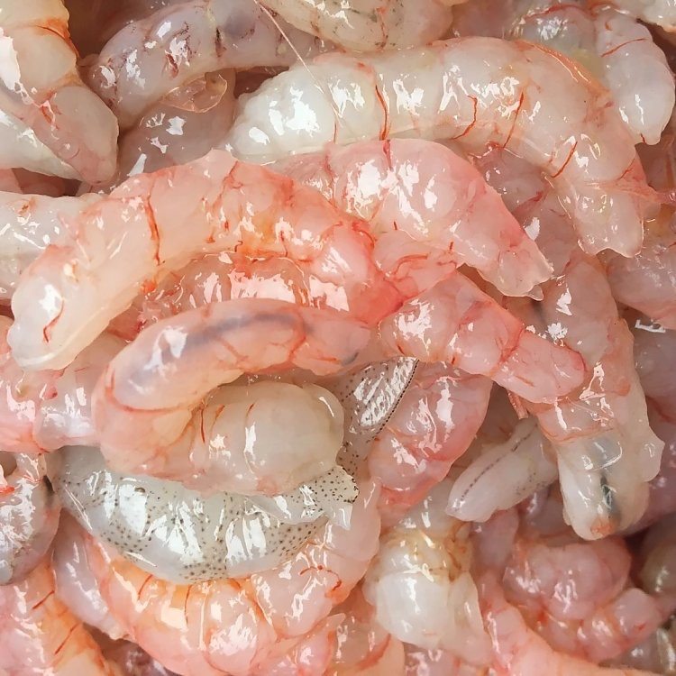 渔老大石浦海鲜甄选红头虾仁新鲜水产现捕捞现剥速冷冻虾肉500g