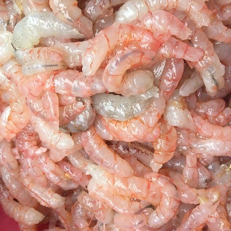 渔老大石浦海鲜甄选红头虾仁新鲜水产现捕捞现剥速冷冻虾肉500g