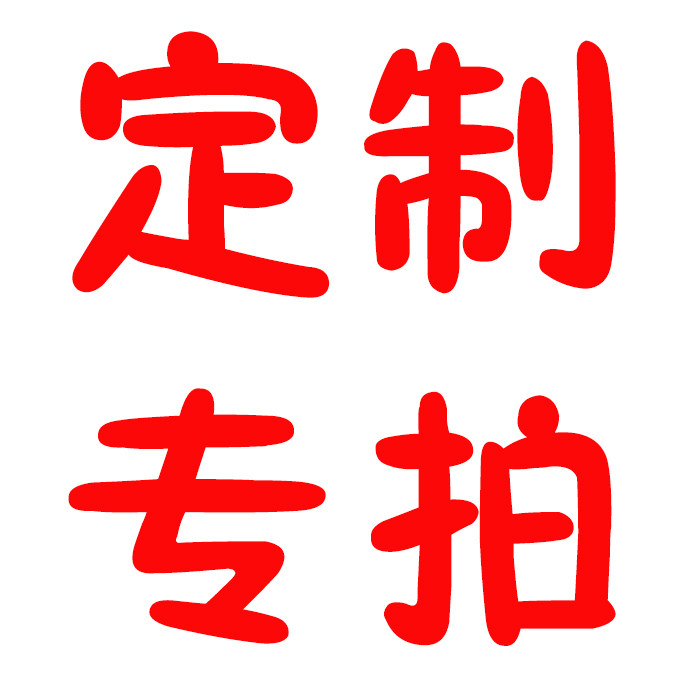 定做专拍私人定制原创新品手工刺绣图案支持包包定制