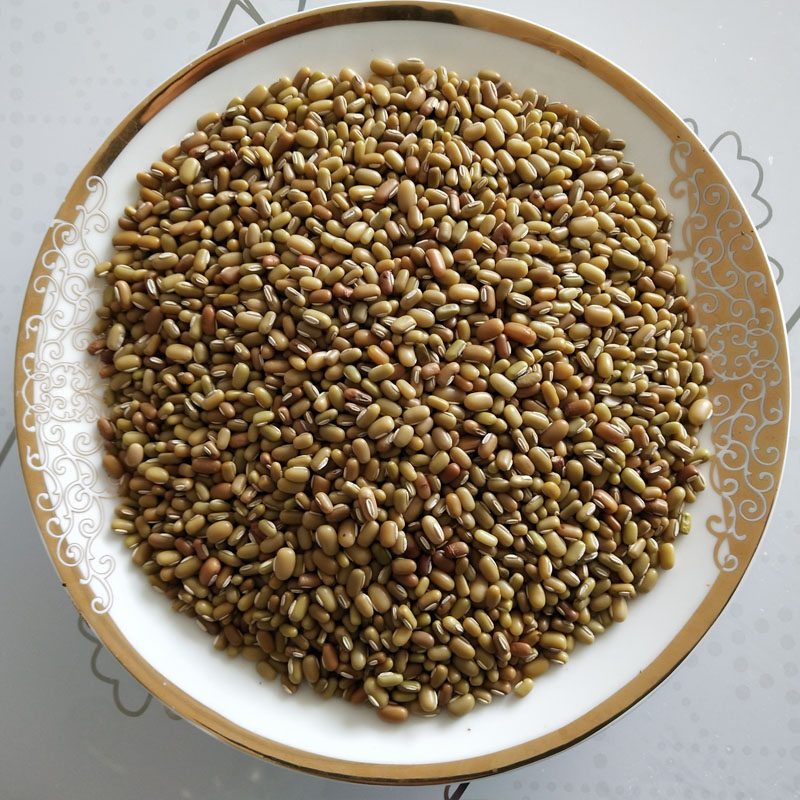 重庆石柱特产高原米豆新豆米小豆菜豆其它