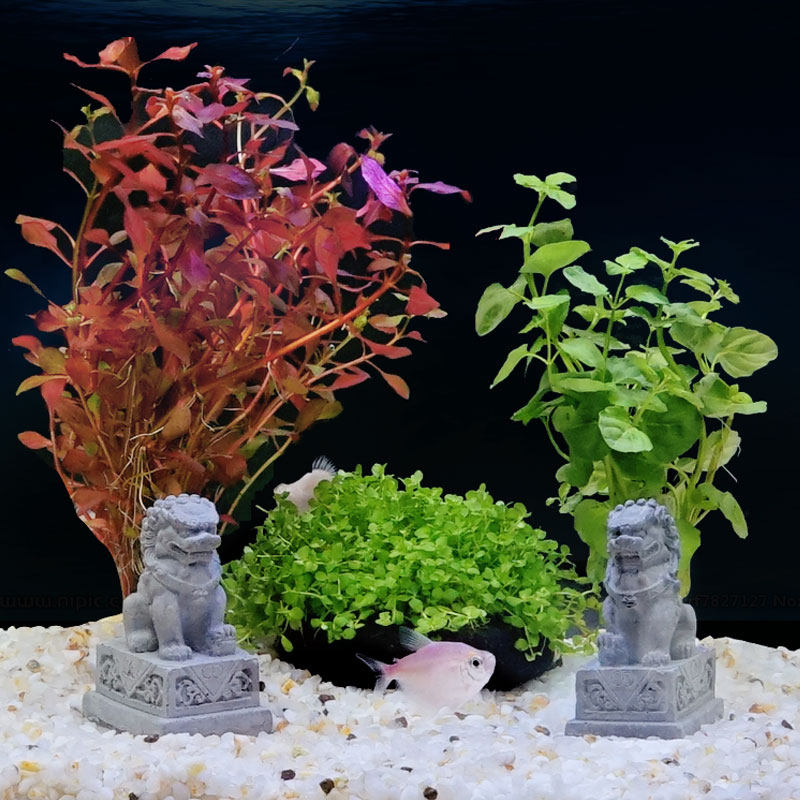鱼缸缸里装饰内饰造景摆件沉底沉水客厅金鱼鱼缸