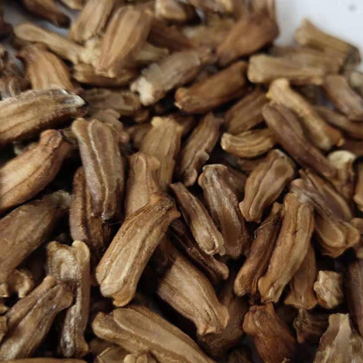 异形葫芦种子油锤长柄葫芦籽把玩收藏景观爬藤绿盆景绿植庭院园艺