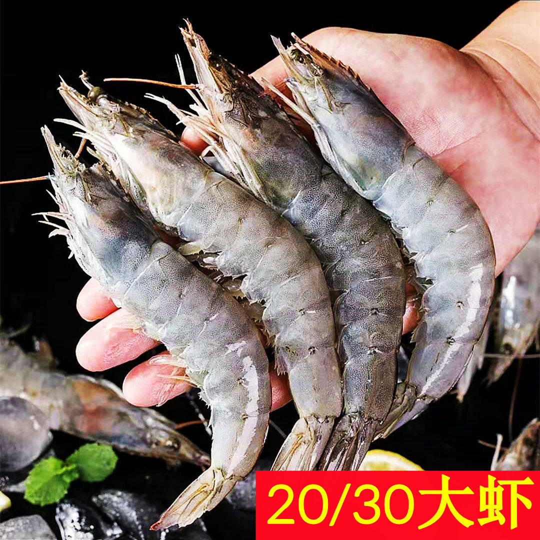 鲜活青虾新鲜大虾对虾超大规格海虾特大海鲜活虾
