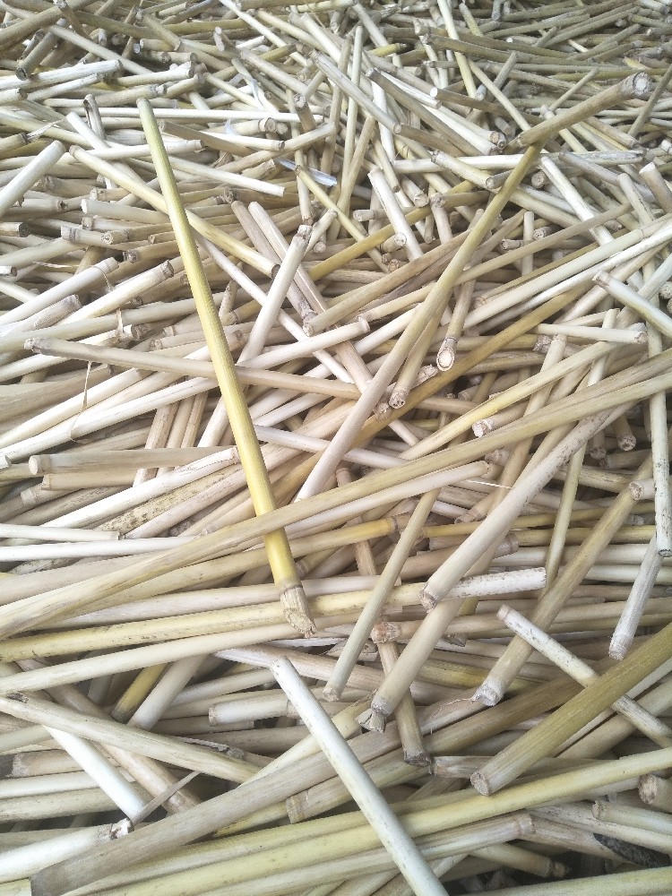 芦苇南荻杆云漂杆鱼漂箭杆手工材料浮漂diy浮漂