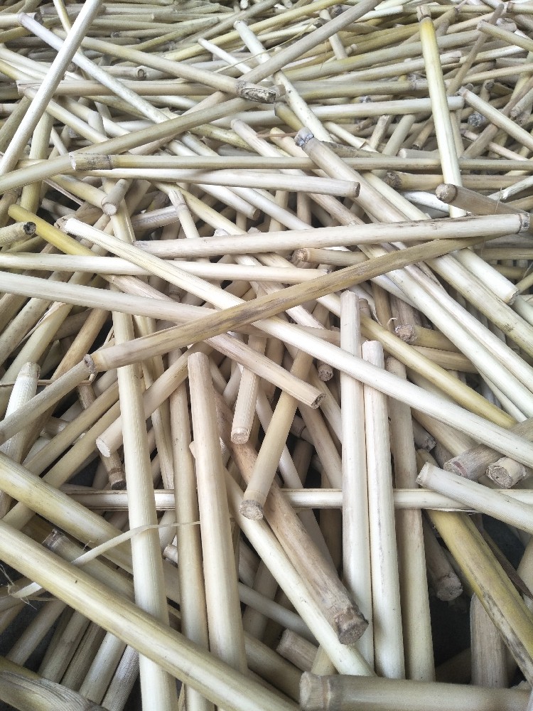 芦苇南荻杆云漂杆鱼漂箭杆手工材料浮漂diy浮漂