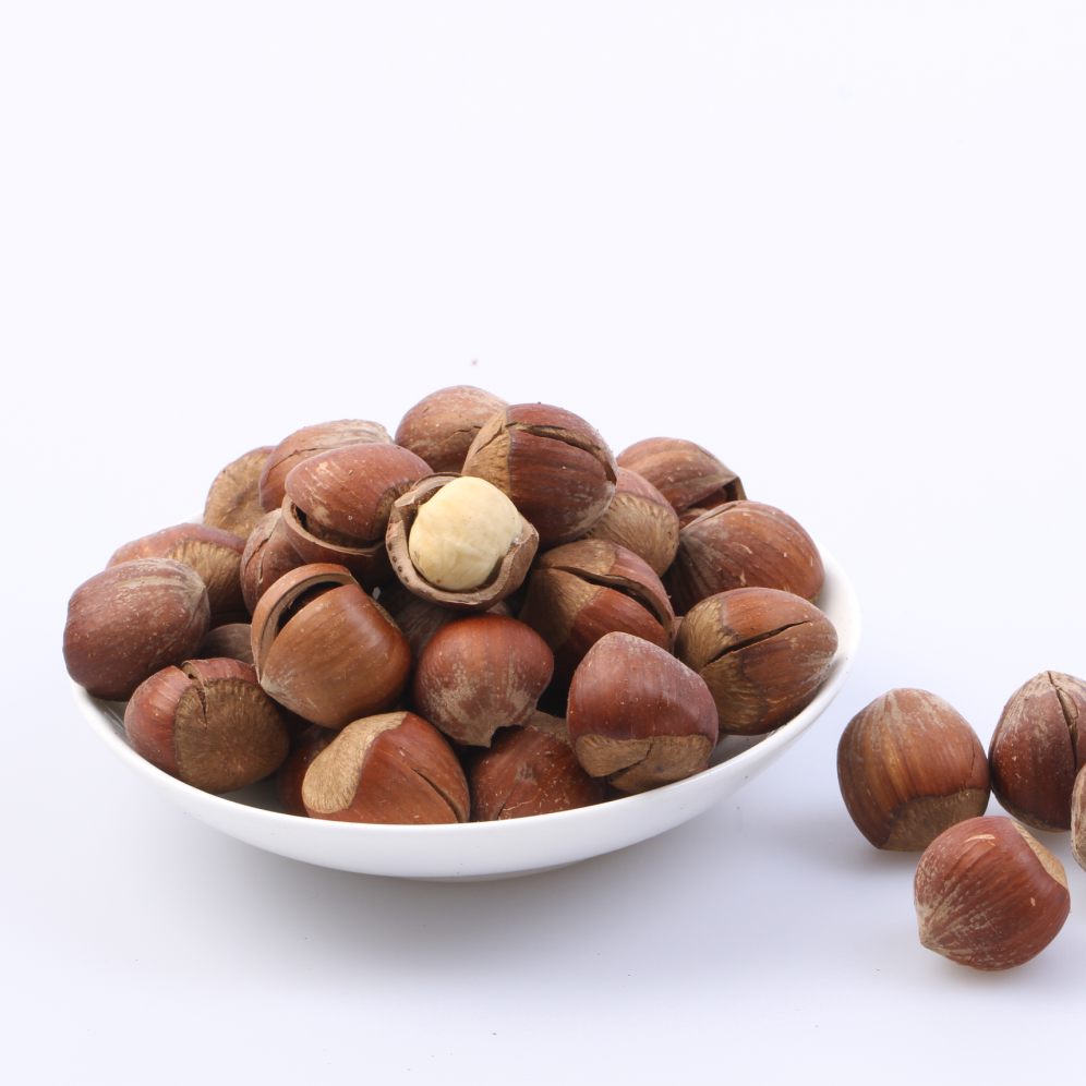 东北铁岭野生榛子平榛特产原味水漏笨炒熟坚果500g包邮无添加孕妇