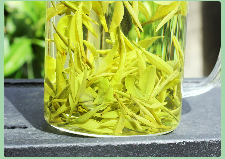 新茶正宗金镶玉茶叶2022安吉茶树白茶高山罐装其它绿茶