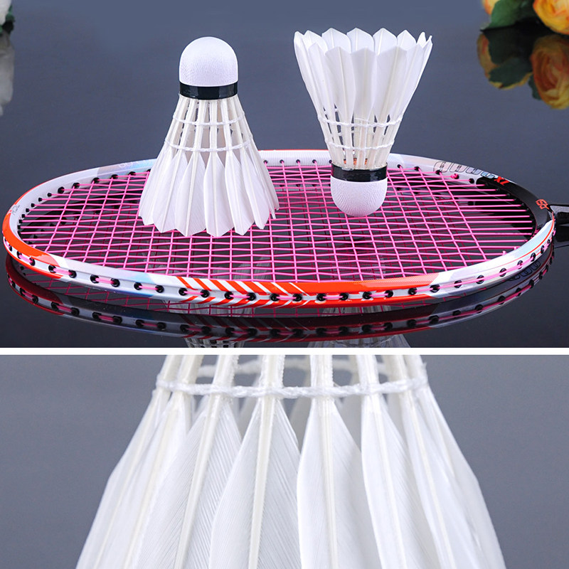 rsl亚狮龙羽毛球耐打专业训练7号羽毛球