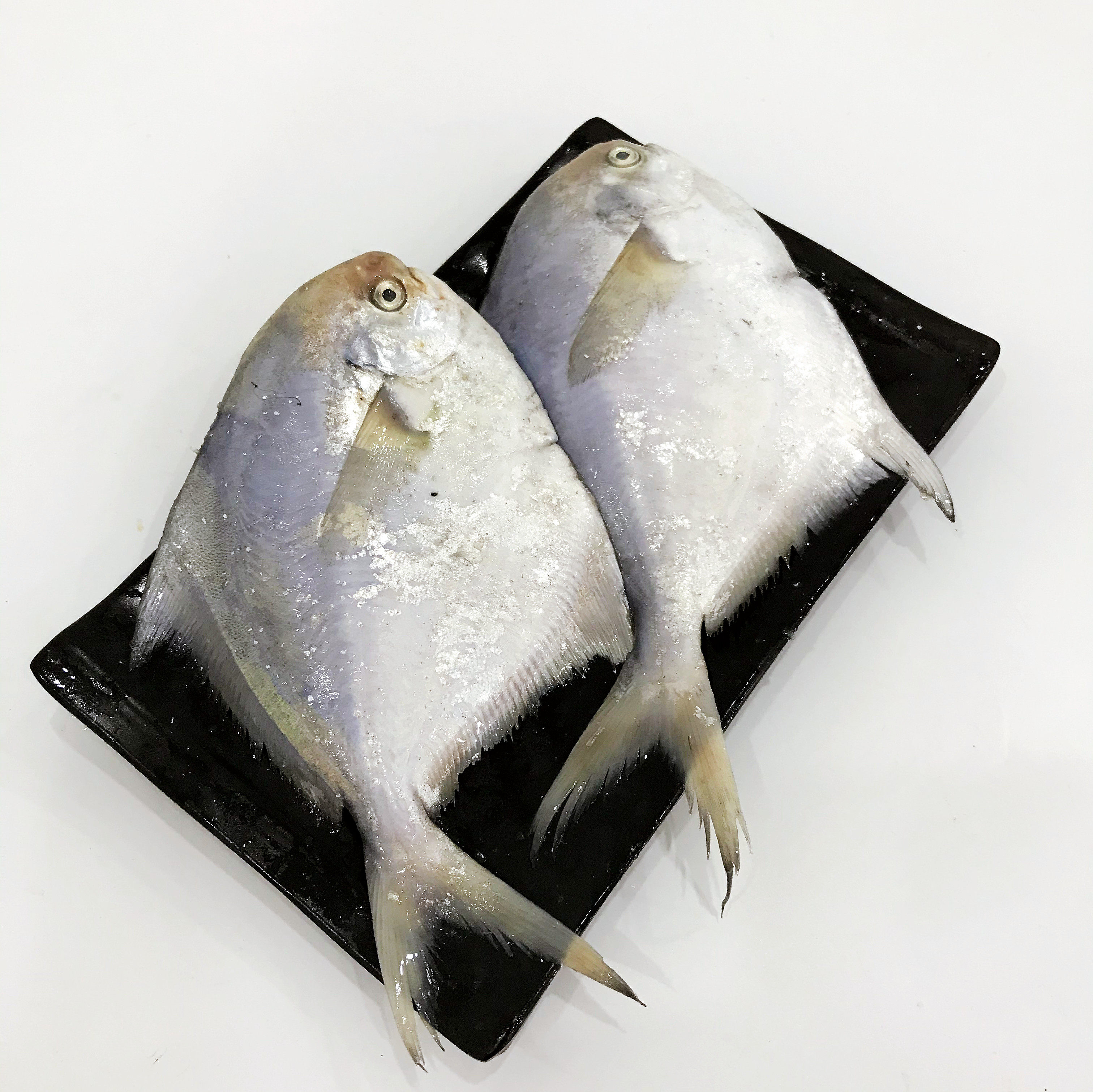 鲳鱼连云港海鲜鲜活新鲜野生大白冰鲜冷冻速冻鲳鱼